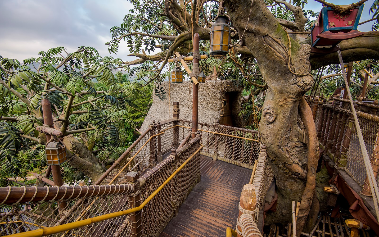 Tarzan's Hong Kong Treehouse