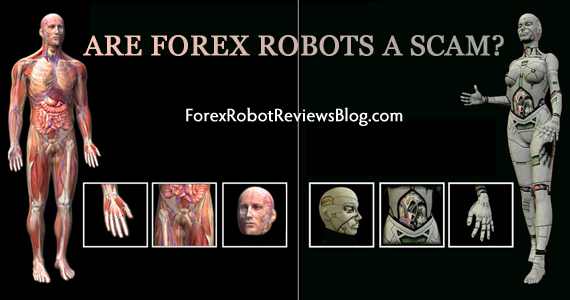 Forex robot software