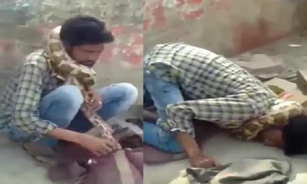 فيديو: سقط أرضاً أمام الجمهور فطنّوا أن الأمر استعراضاً .. هكذا خنقَ ثعبان ضخم رجلاً
