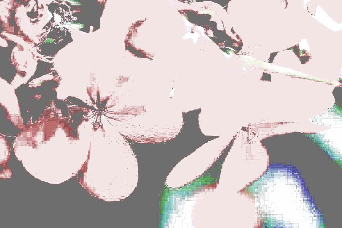 원주 구룡사 원주 구룡사