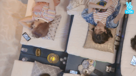 1.gif