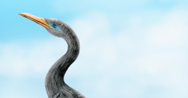 Escenarios prehistóricos Copepteryx