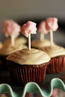 Clyde's Cupcake Magic: Counrty Fair Party Clyde's Cupcake Magic: Counrty Fair Party