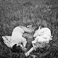 Wild Cub - 'Youth' CD Review (Keegan DeWitt + Jeremy Bullock)