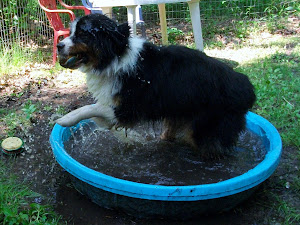 Cooling Off