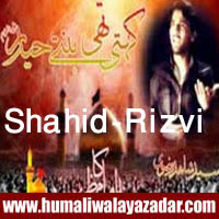 http://ishqehaider.blogspot.com/2013/10/shahid-rizvi-nohay-2014.html