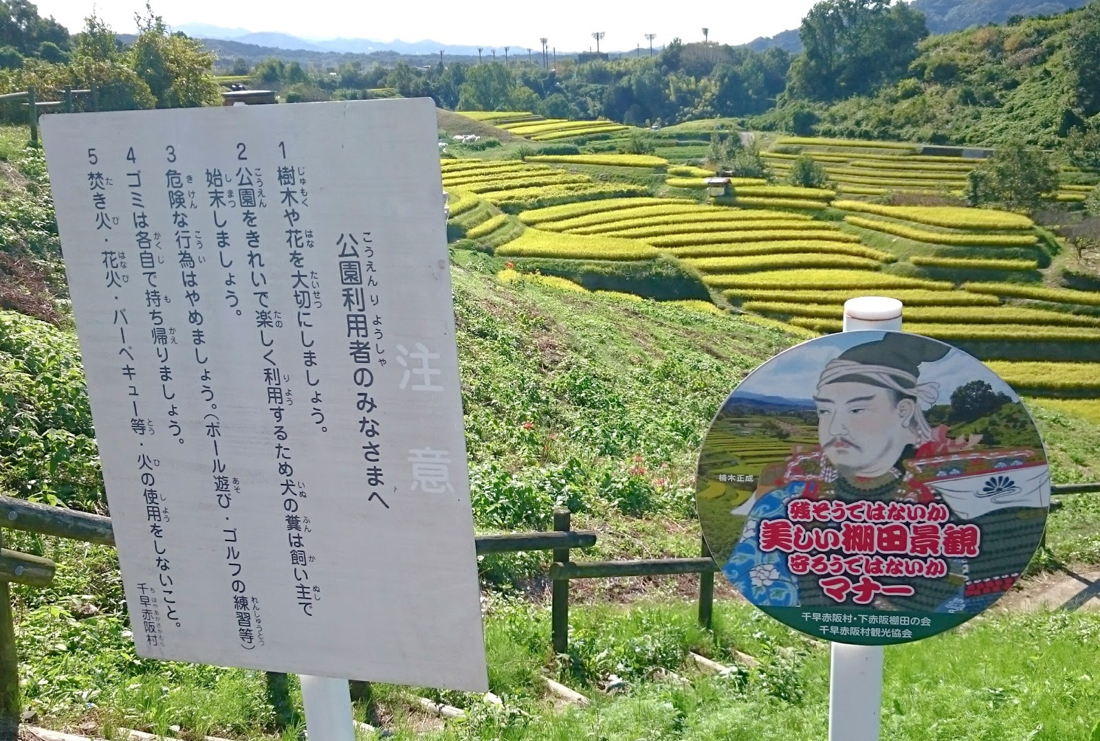 南河内探訪 下赤阪の棚田 南河内郡千早赤阪村 南河内随一の絶景