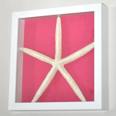 starfish on pink