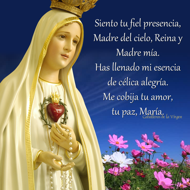 Lista 100+ Foto Frases De La