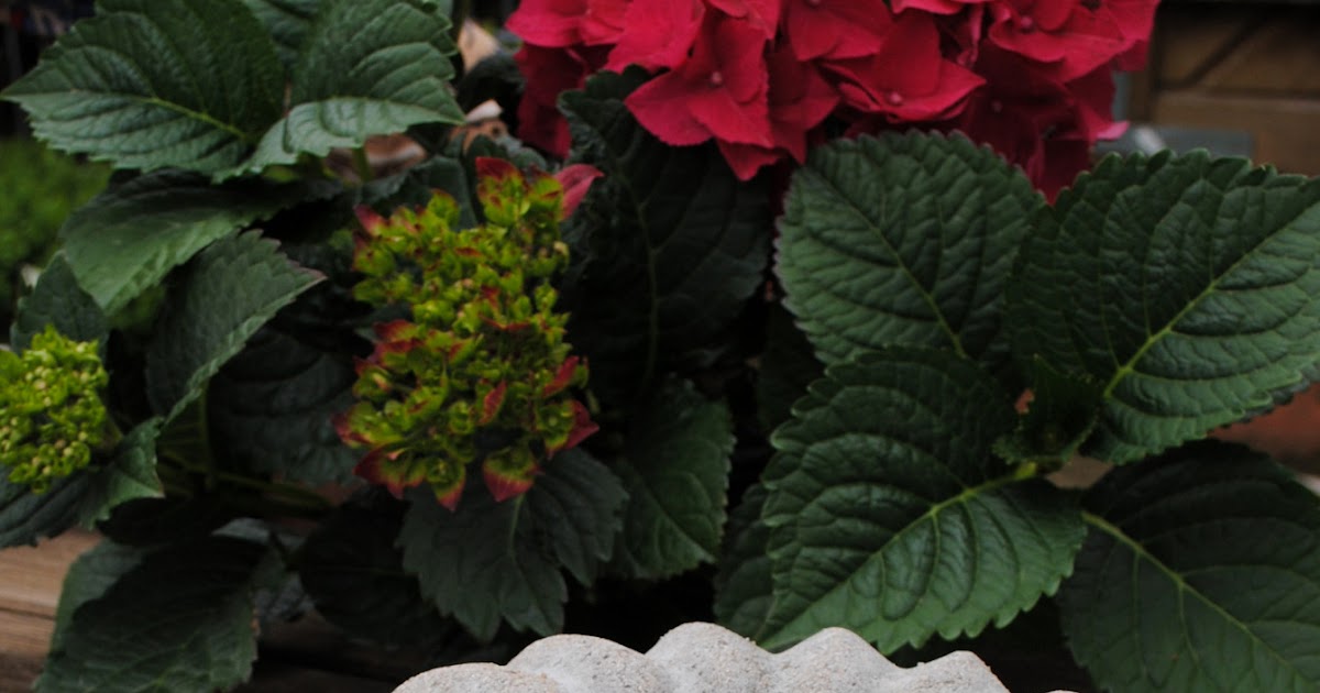 Gartendeko-Blog: Selbstgemachtes aus Zement