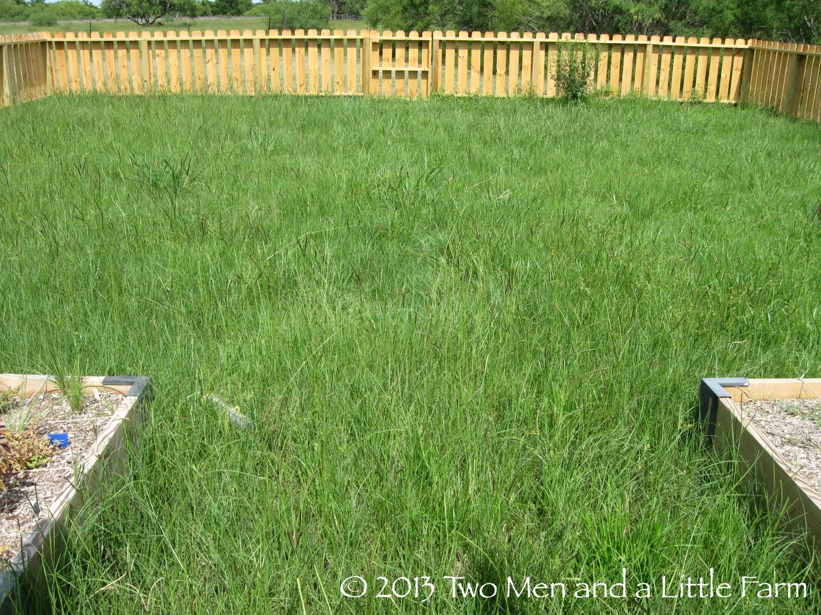 Two Men and a Little Farm HOW DO I GET RID OF GRASS IN GARDEN AREA