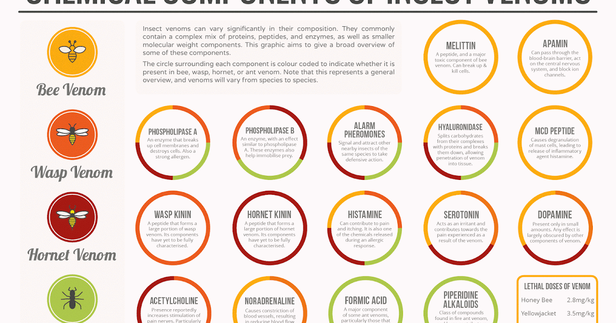 Chem is Cool Chemistry of Insect Venom and Sting Pain Index