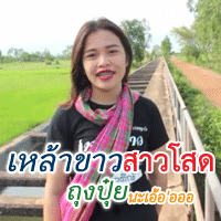 ถุงปุ๋ย เหล้าขาวสาวโสด cover