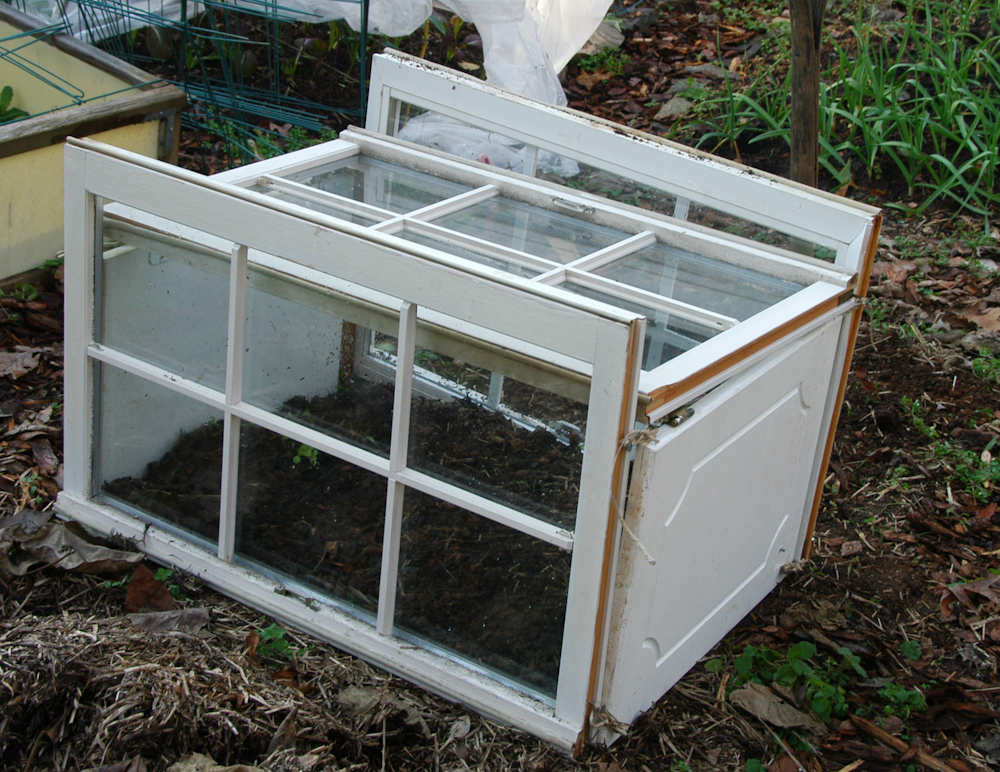 Window box cold frame