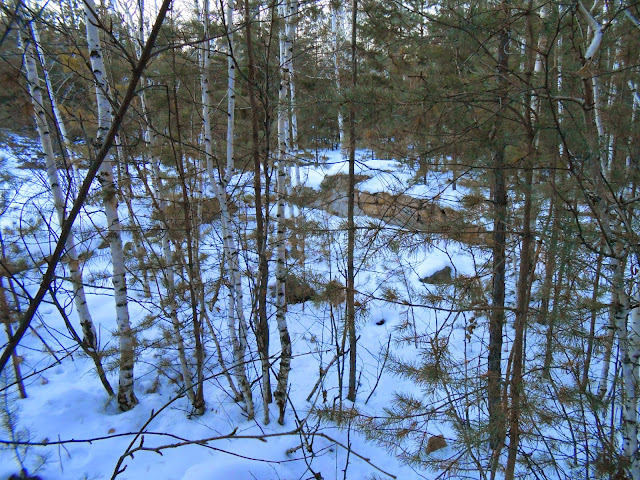Основание каменной стены за деревцами