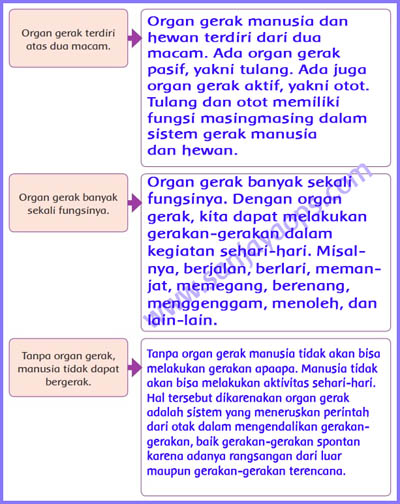 Contoh Soal Gagasan Pokok Dan Gagasan Pendukung