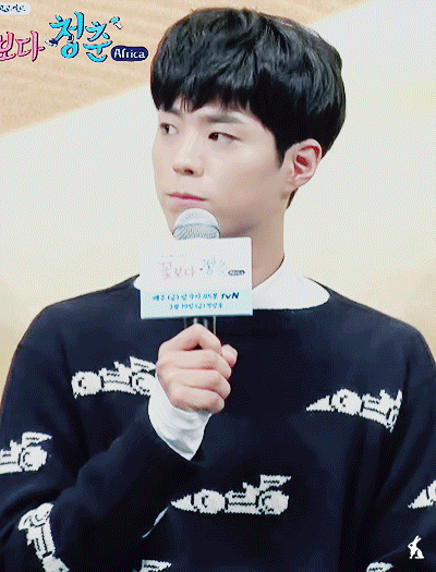 어제 박보검 꽃청춘 기자회견+시사회 | 인스티즈