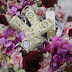 HANTARAN KAHWIN BY DE'XANDRA EKSLUSIF