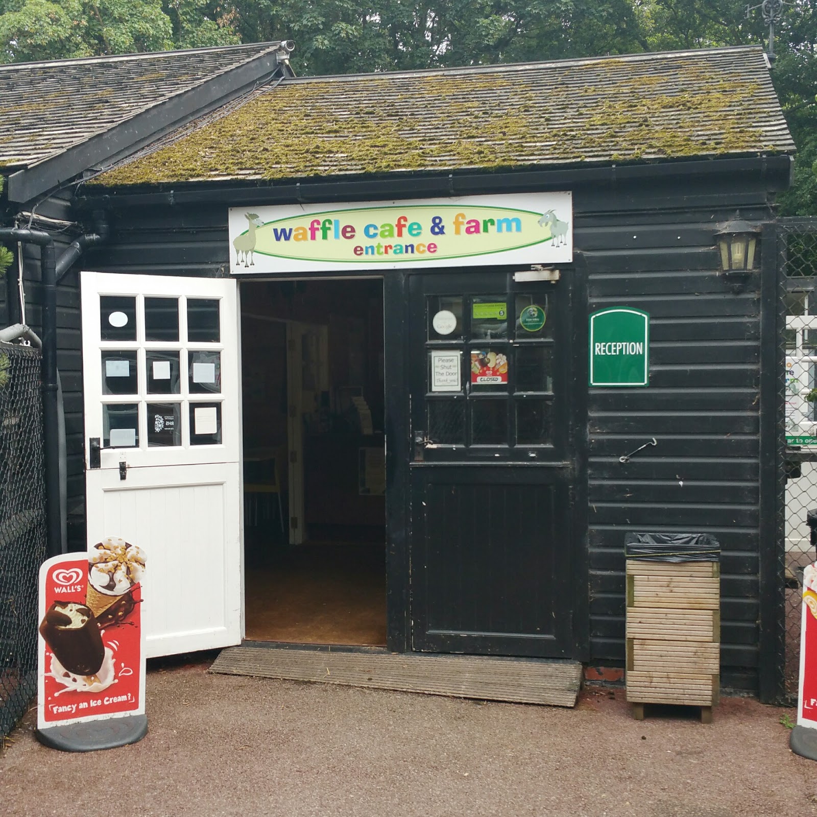 Out & About Belmont Farm — Bump And Beyond