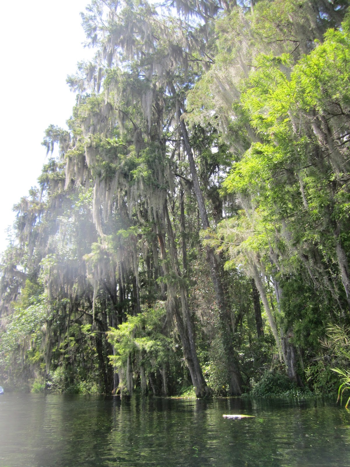 Little Old House This Florida Life Ichetucknee River Tubing