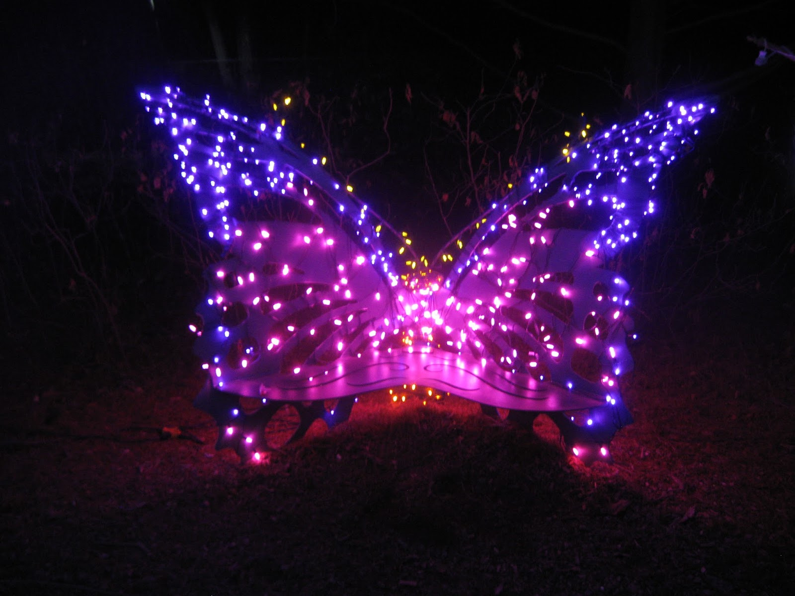 Washingtongardener Win A Pass To The Garden Of Lights At