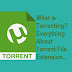 What is Torrenting? Everything About Torrent File Extension