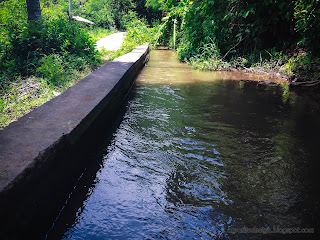 Natural View Of Straight Main River Water Flow In Agricultural Area At Ringdikit Village, North Bali, Indonesia