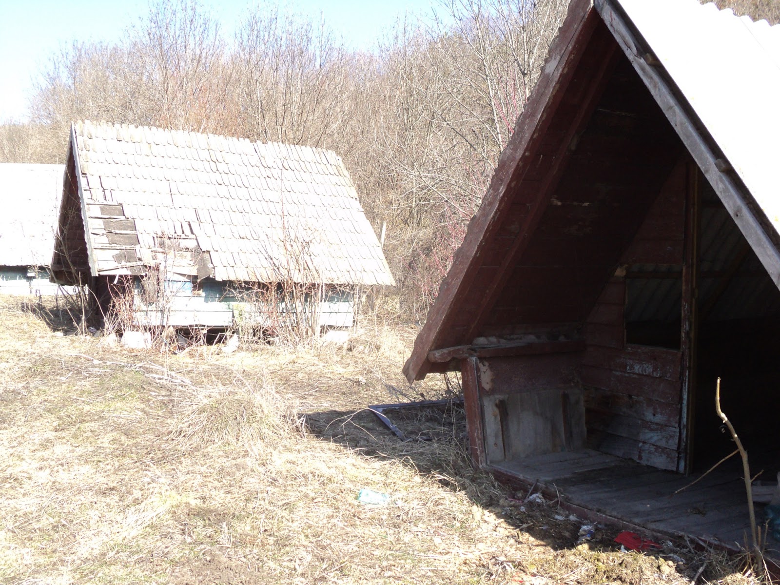 de/spre Romania: Oferte de cazare...