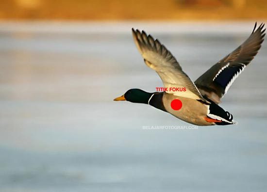 DK's Diary: Setting Kamera - Mode Metering