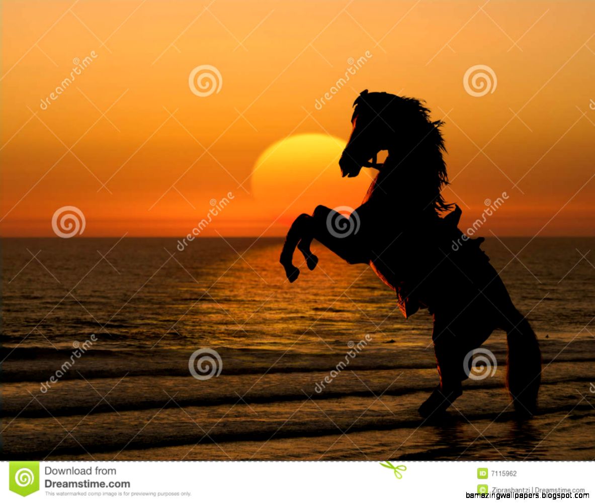 Horses In The Sunset On The Beach | Amazing Wallpapers