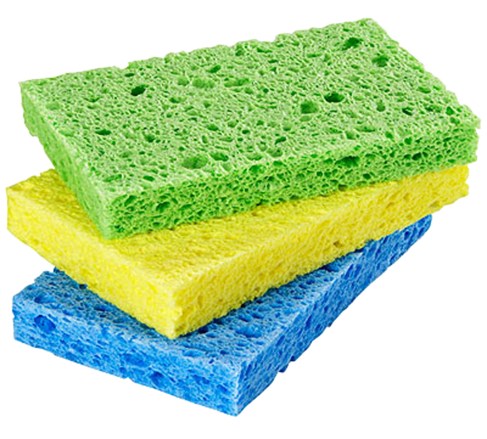 how do young sponges move how do young sponges move