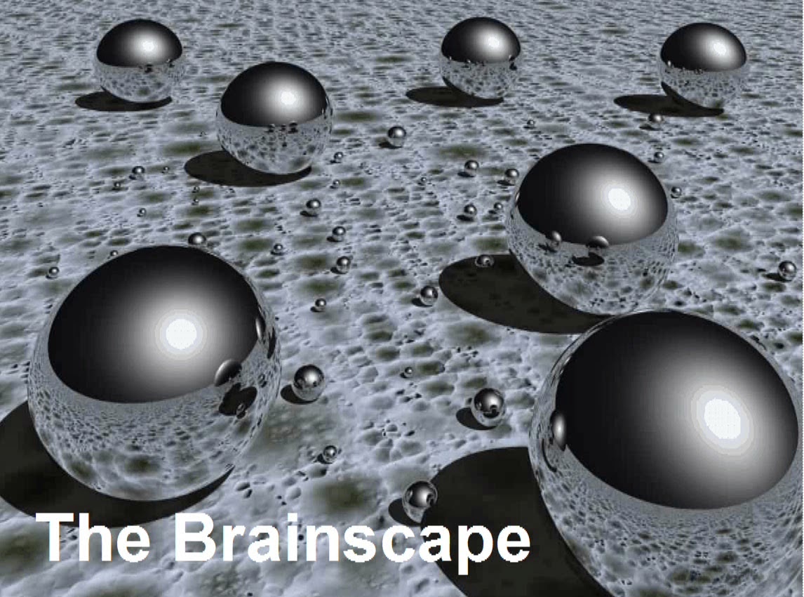 My Learning Place: Brain Science for Teachers