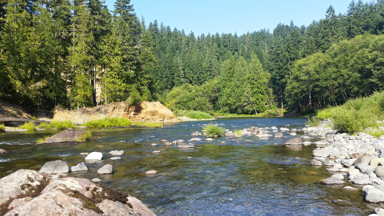 Alder Flat, Mt. Hood National Forest take a hike
