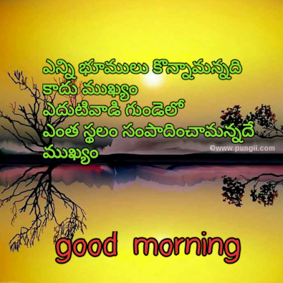 download quotes