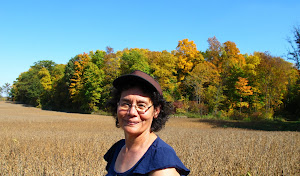 Ontario Fall Foliage, 2011