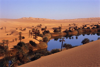 شعبة الجغرافيا كلية التربية اشكال السطح الناتجة عن التعرية الهوائية