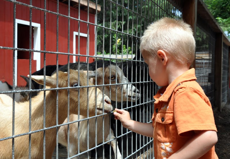 Amz and Court: April 2011