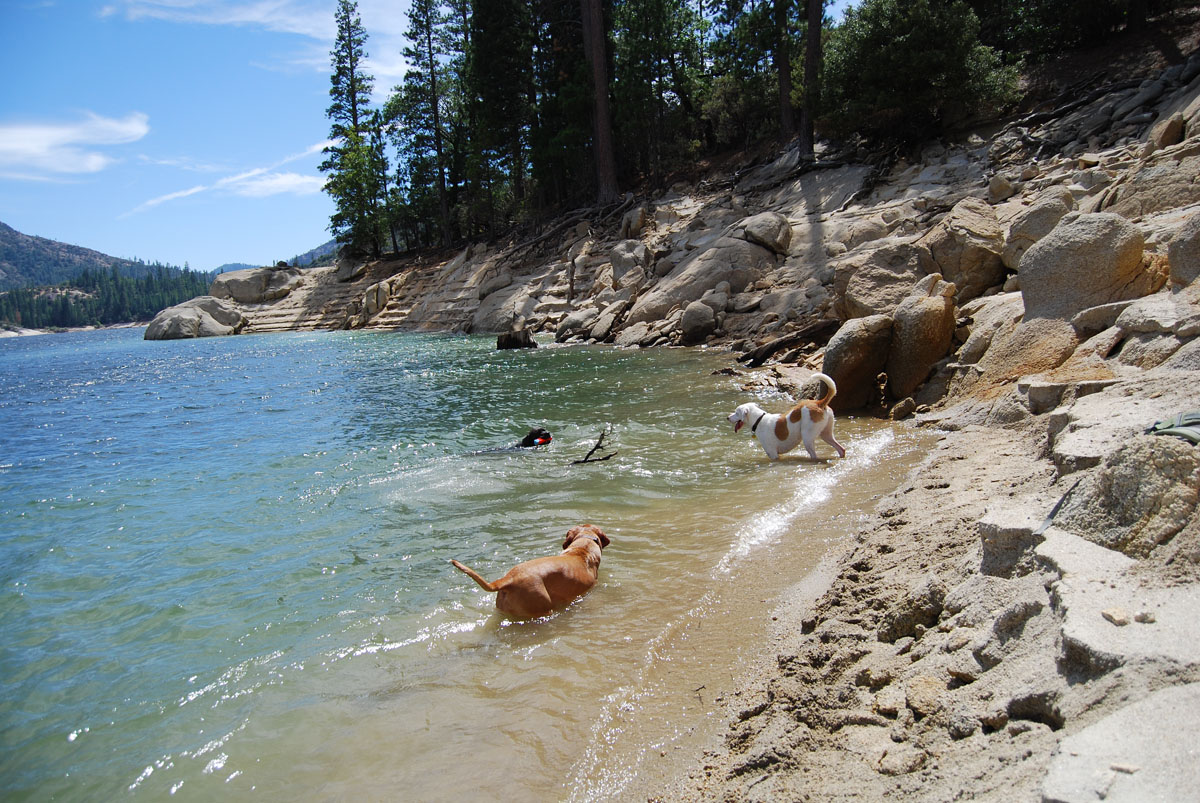 Mountain Dogs Mammoth Pool Reservoir, August 17