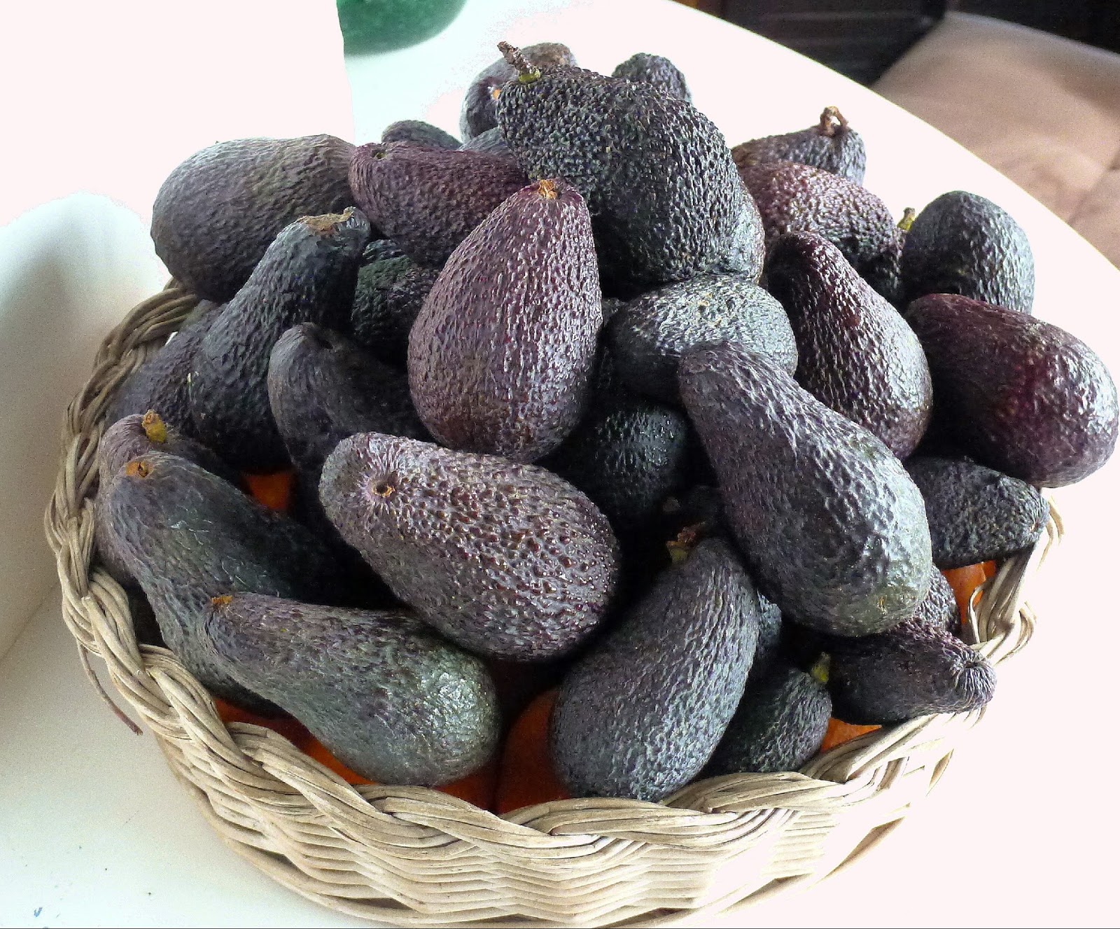 MY KITCHEN IN SPAIN WHEN LIFE GIVES YOU AVOCADOS