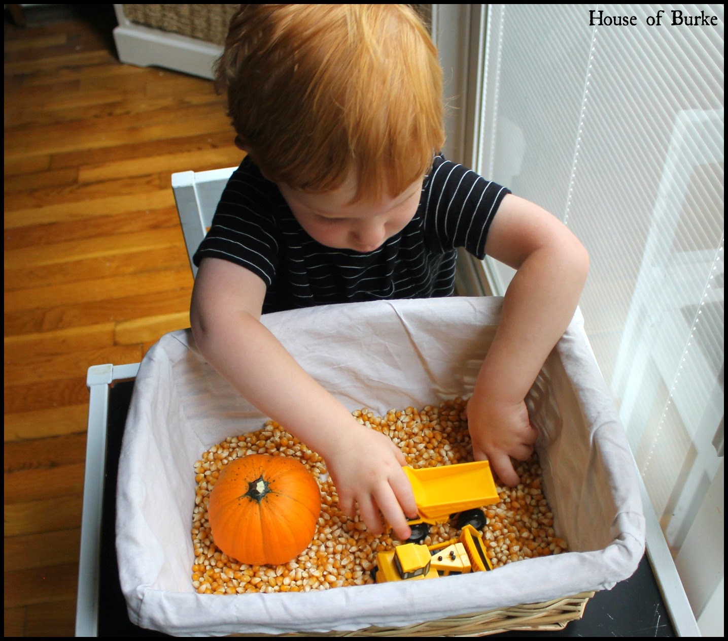 House of Burke Corn Sensory Bin Challenge