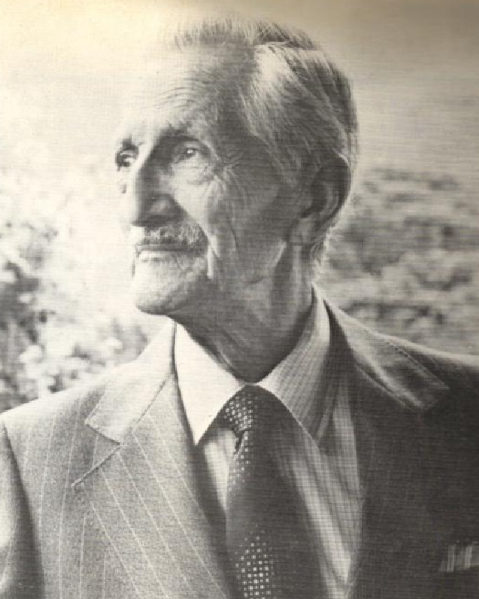 Amantes de las Artes Plásticas Venezolanas Francisco Fernández