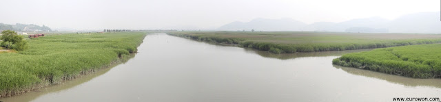 Panorámica del arroyo de la Bahía Suncheonman