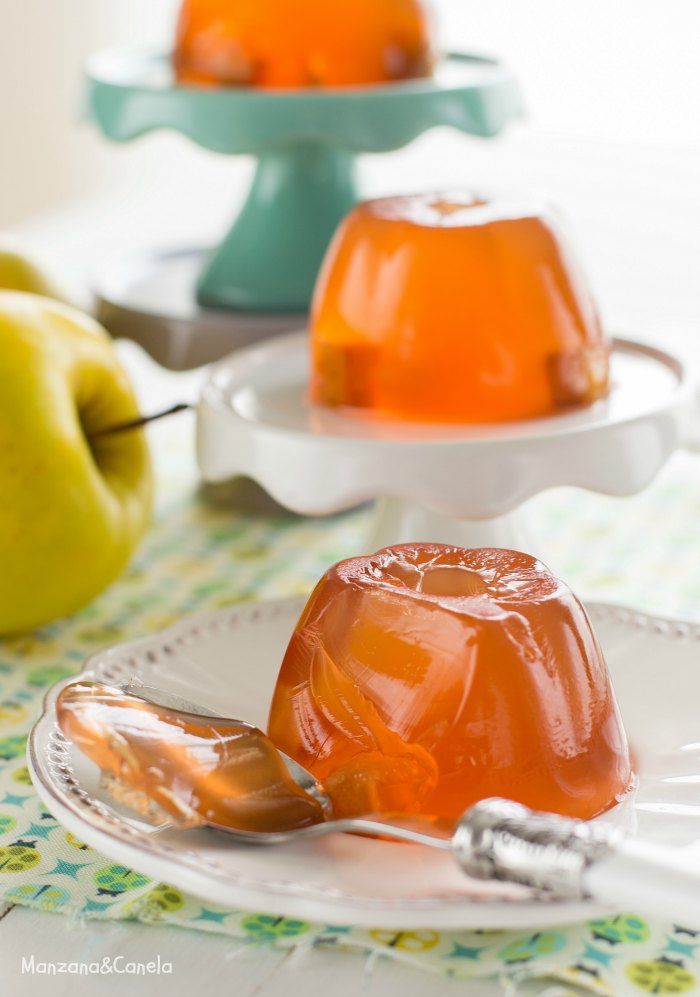 Manzana&Canela Gelatina de infusión de manzana e hibisco