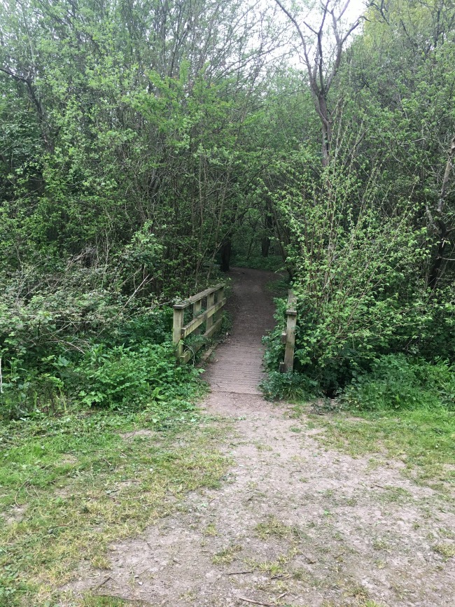 footpath-and-wooden-bridge-leading-to-woodland