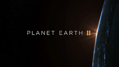 كوكب الأرض الفيلم الوثائقي المترجم كوكب الأرض Planet Earth 2 Maxresdefault