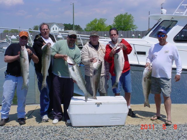 Fishing On Maryland s Chesapeake Bay With Sawyer Charters Chesapeake 