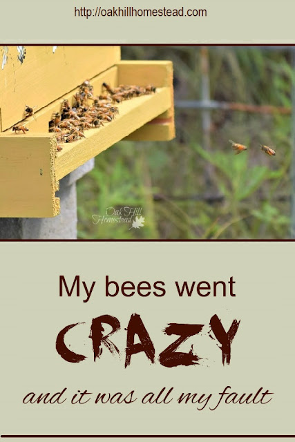 What I learned: This is NOT the way to feed your bees.