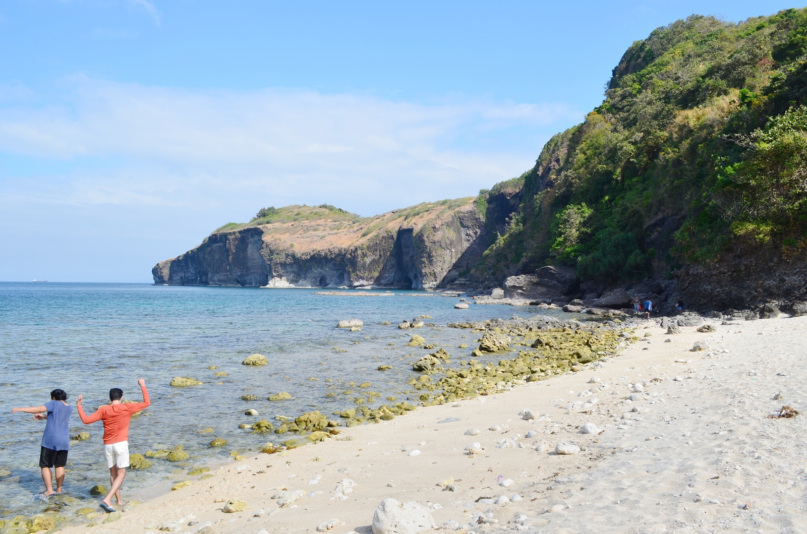 Red Fox Photographs, Diaries, and Thoughts Papaya Island Cove's