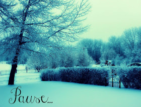 pause, inspiring word, new years resolution, winter photography, snow, http://bec4-beyondthepicketfence.blogspot.com/2016/01/pausein-2016.html