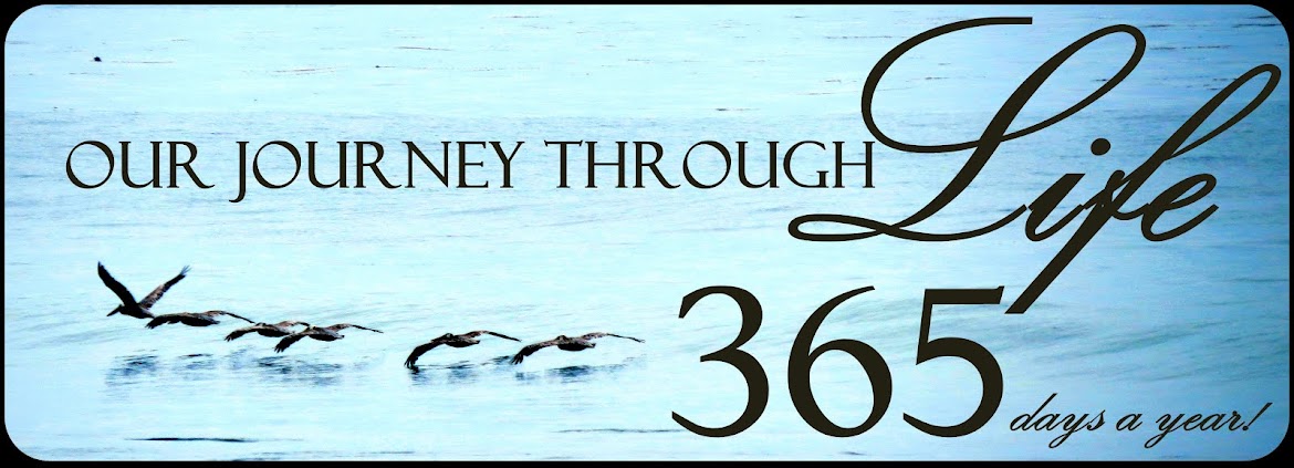 Our Journey Through LIFE...365 Days a Year!